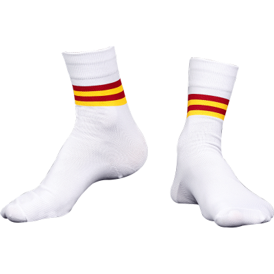 school-logo-socks-9